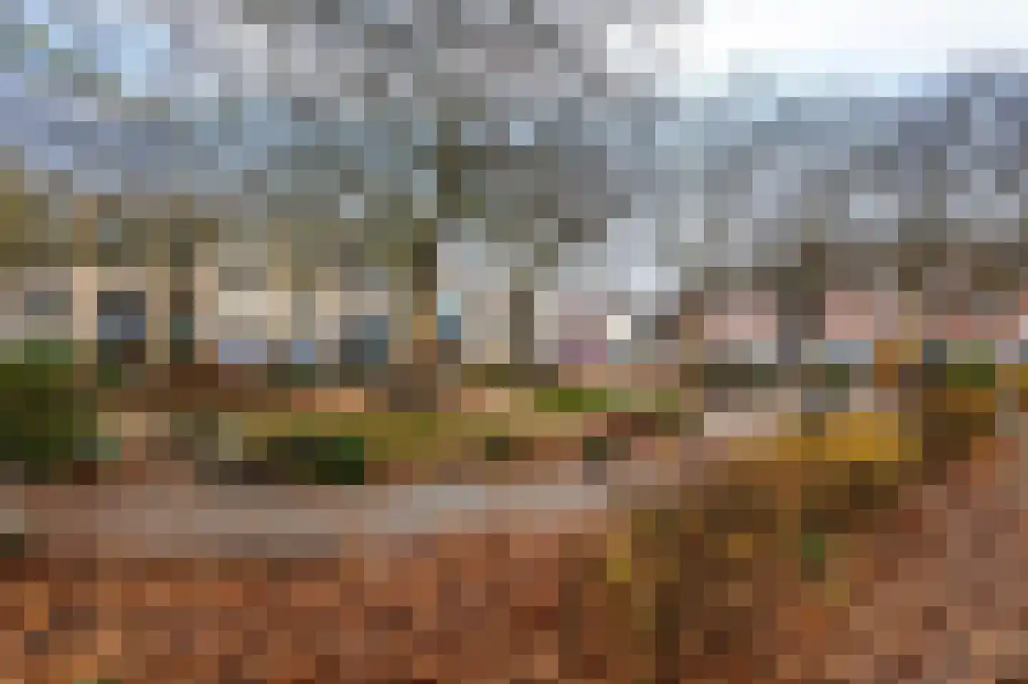 Harp 31 Ewijk thumbnail 21