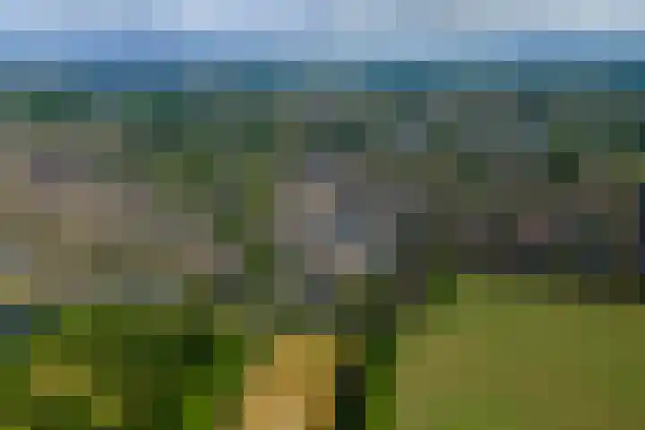 Harp 31 Ewijk thumbnail 22