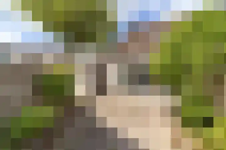 Harp 31 Ewijk thumbnail 6