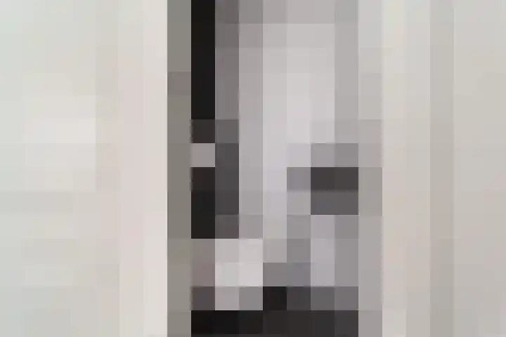 Harp 31 Ewijk thumbnail 9