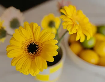 Bürofoto von Harpe Makelaardij