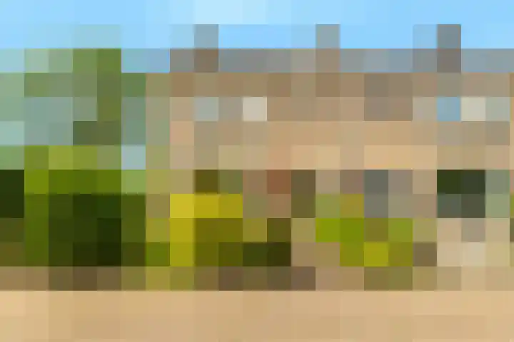 Harpendel 8 Koedijk