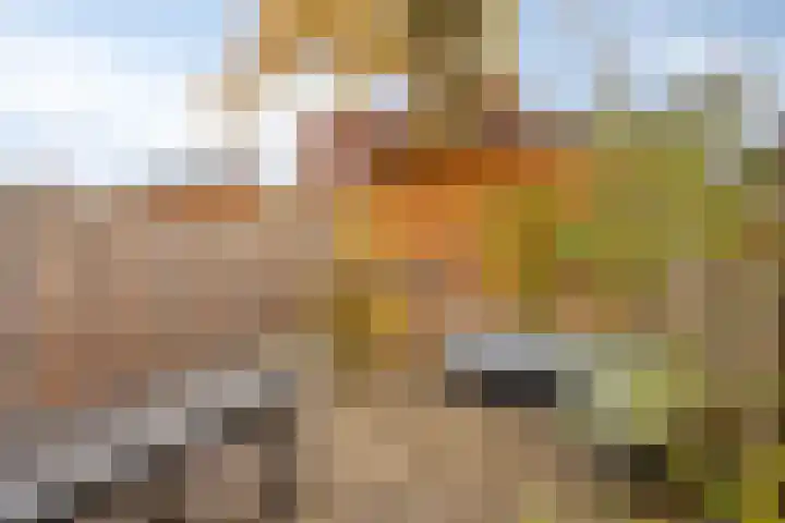 Harperhof 18 Boxtel thumbnail 22