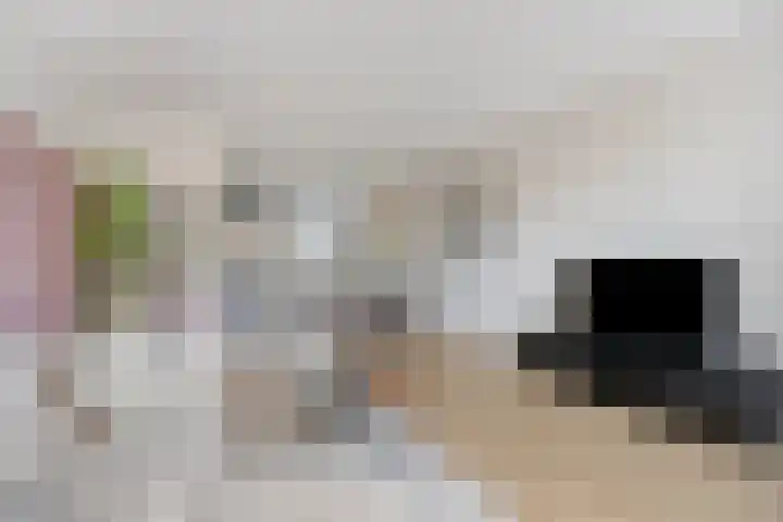 Harperhof 18 Boxtel thumbnail 7