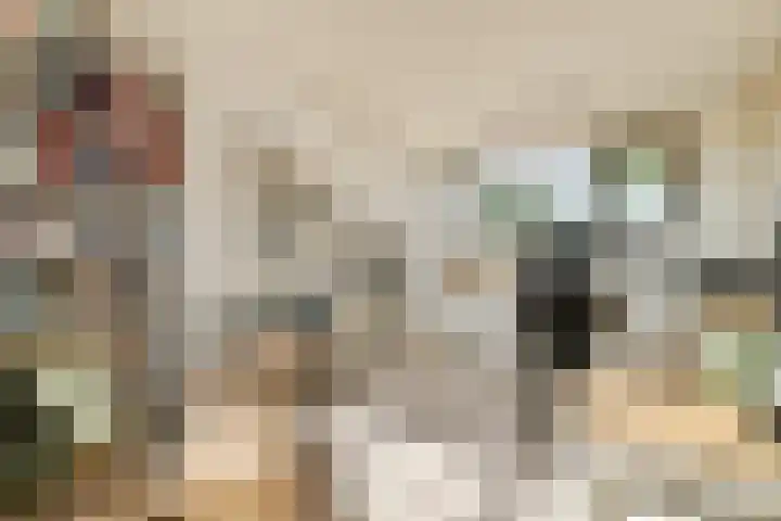Harpstraat 23 Zaandijk thumbnail 28