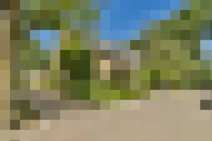 Harpstraat 23 Zaandijk thumbnail 32