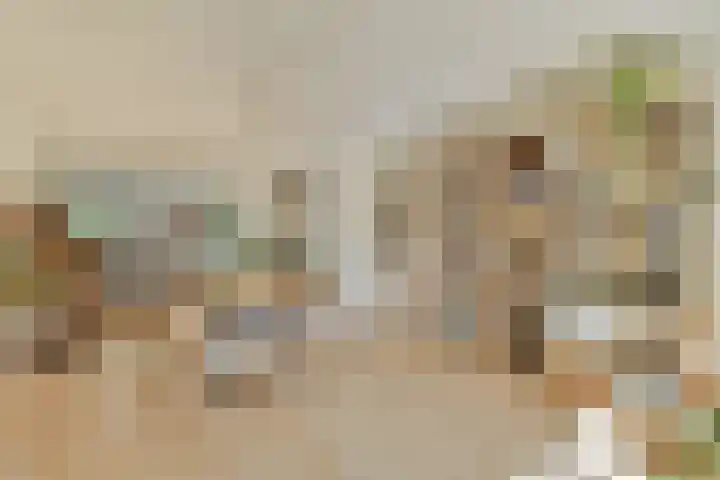 Harpstraat 23 Zaandijk thumbnail 9