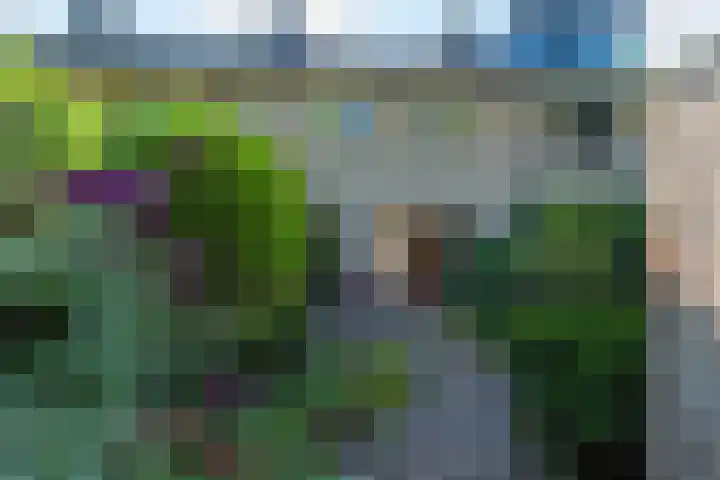 Harrelaers 51 Heiloo thumbnail 37