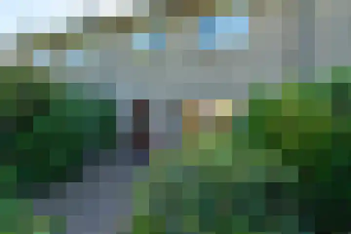 Harrelaers 51 Heiloo thumbnail 38