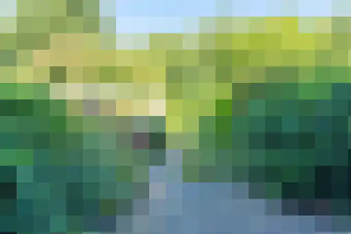 Harrelaers 51 Heiloo thumbnail 39