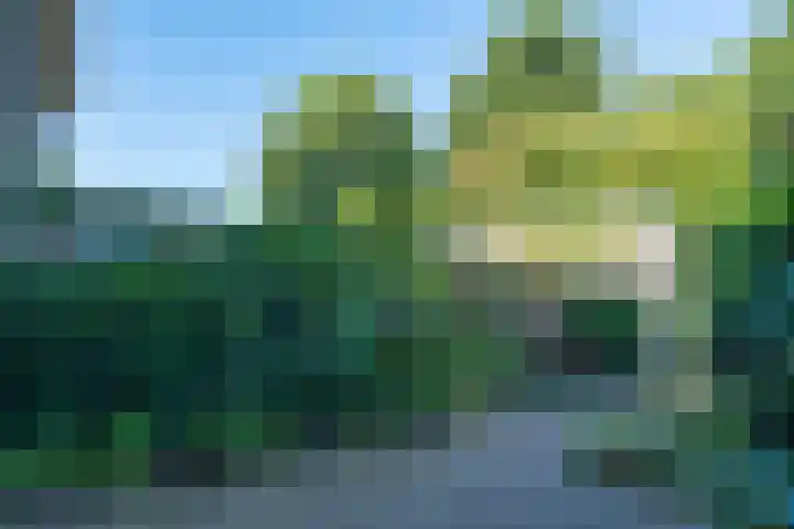 Harrelaers 51 Heiloo thumbnail 40