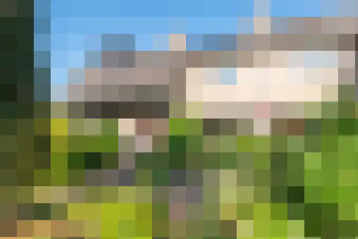 Harrelaers 51 Heiloo thumbnail 58