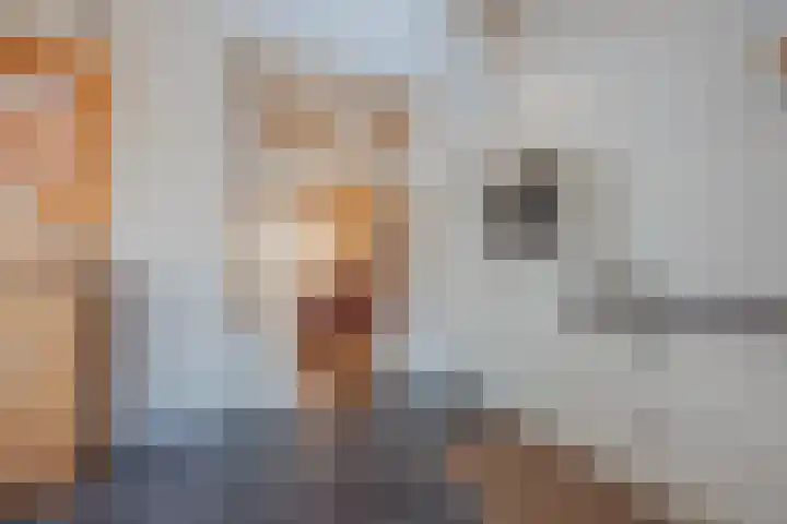 Harrie Driessenstraat 5 Horst thumbnail 17
