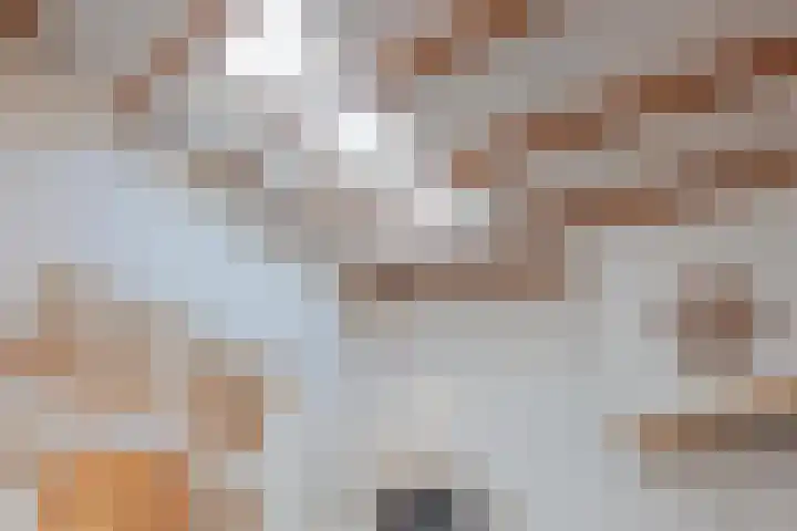 Harrie Driessenstraat 5 Horst thumbnail 22