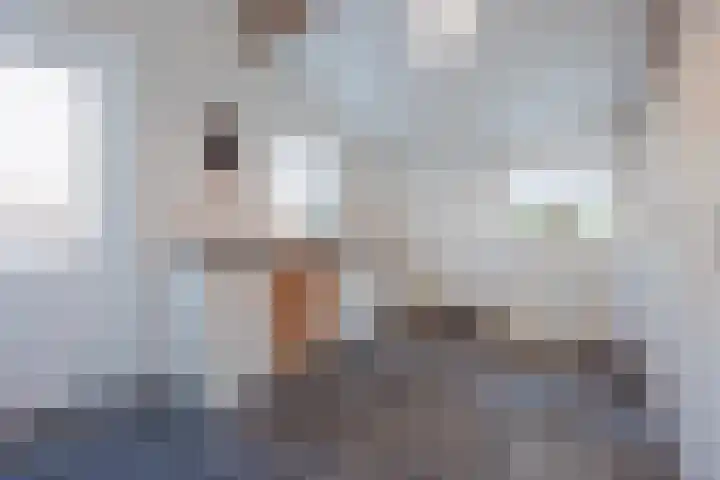 Harrie Driessenstraat 5 Horst thumbnail 26
