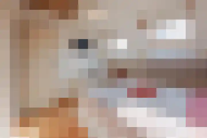 Harrie Driessenstraat 5 Horst thumbnail 31
