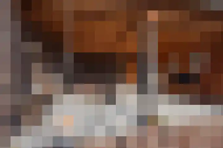 Harrie Driessenstraat 5 Horst thumbnail 46