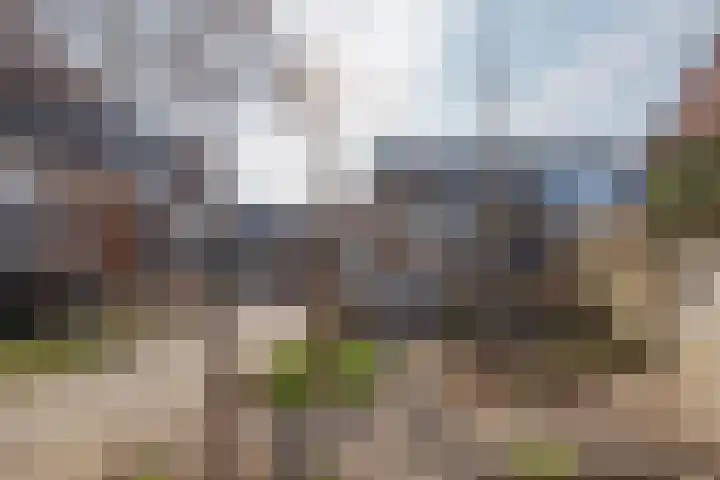 Harrie Driessenstraat 5 Horst thumbnail 48