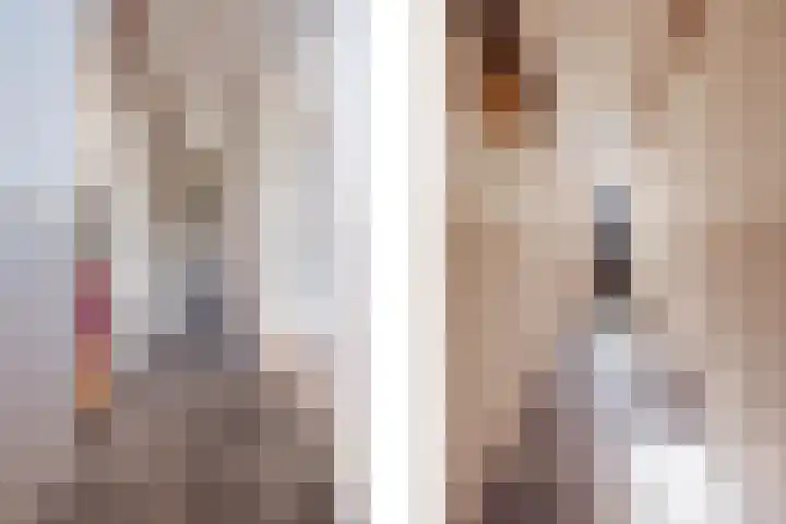 Harrie Driessenstraat 5 Horst thumbnail 8