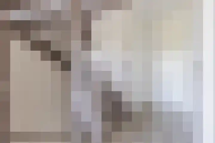 Harrie van Gestelstraat 13 Geldrop thumbnail 15