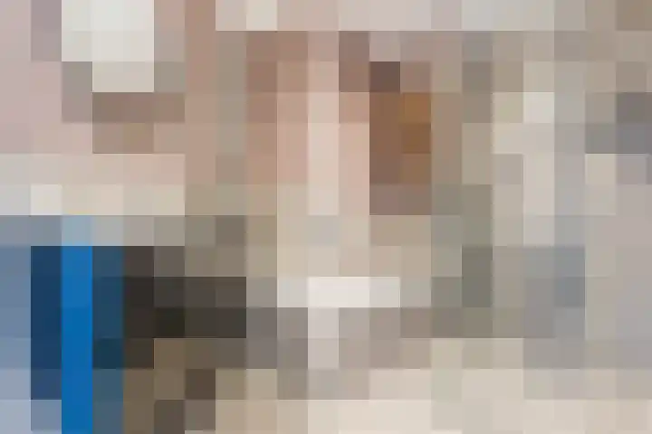 Harrie van Gestelstraat 13 Geldrop thumbnail 25