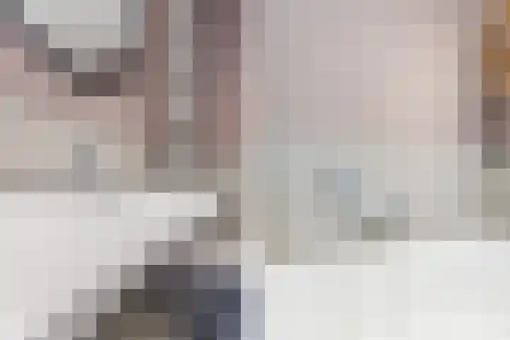 Harrie van Gestelstraat 13 Geldrop thumbnail 27