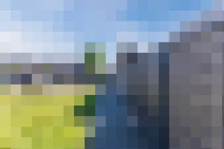 Harrie van Gestelstraat 13 Geldrop thumbnail 38