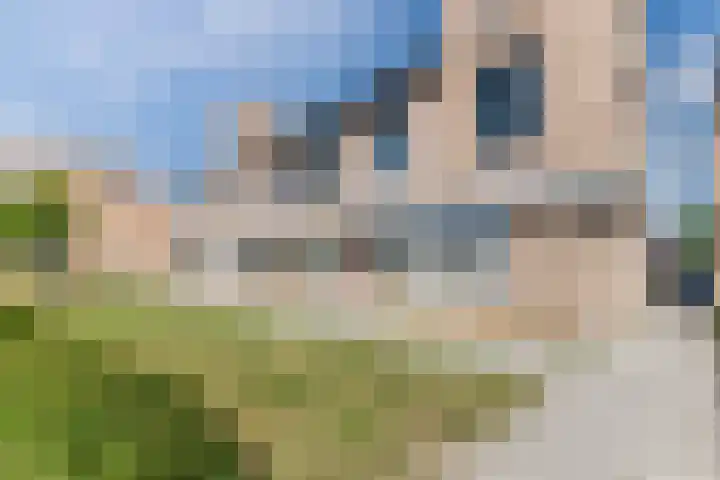 Harrie van Gestelstraat 13 Geldrop thumbnail 43