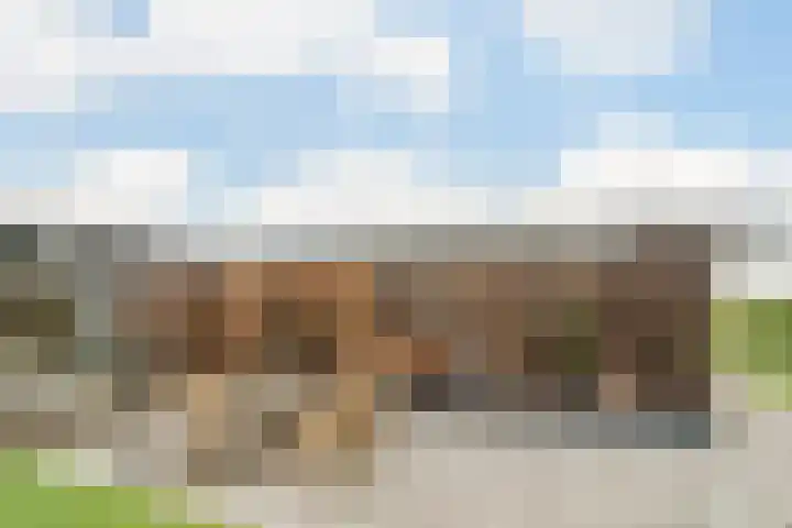 Photo of Harry Cornelissen