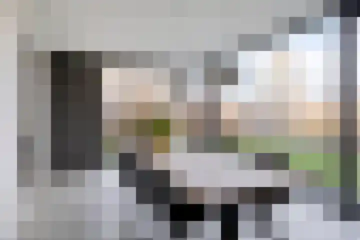 Harspit 6 Kootstertille thumbnail 14