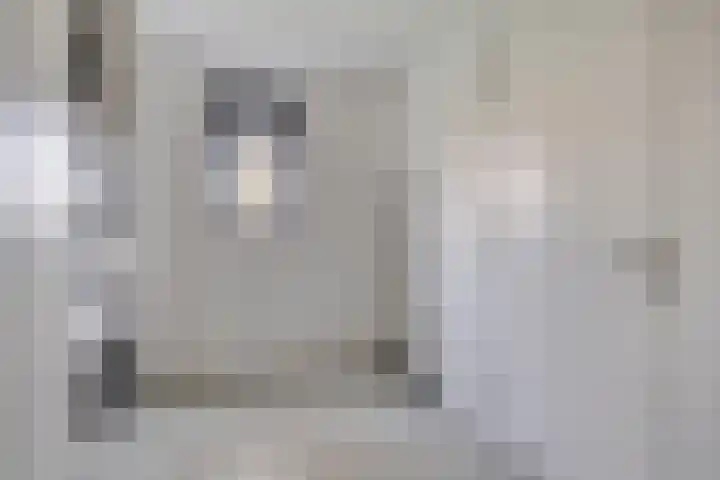 Harspit 6 Kootstertille thumbnail 20