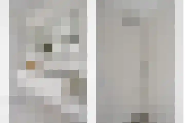 Harspit 6 Kootstertille thumbnail 25