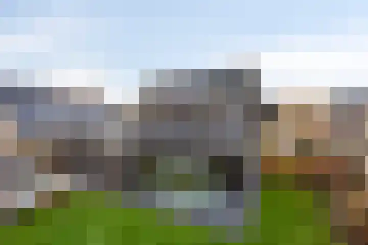 Harspit 6 Kootstertille thumbnail 31