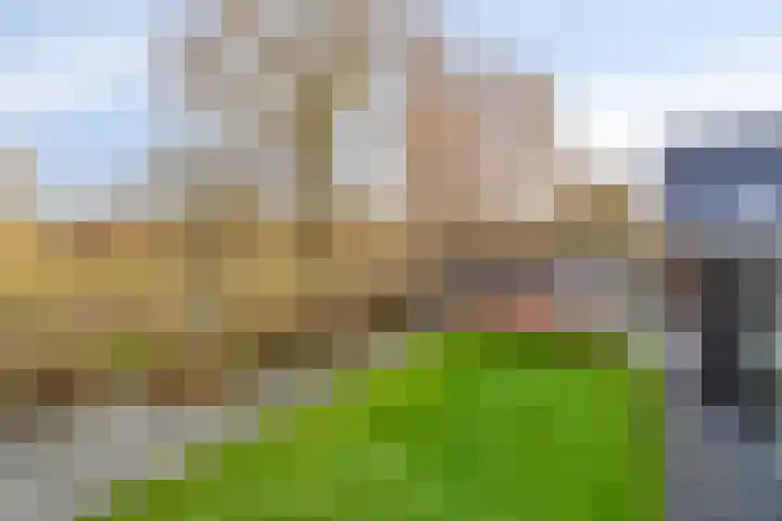 Harspit 6 Kootstertille thumbnail 32