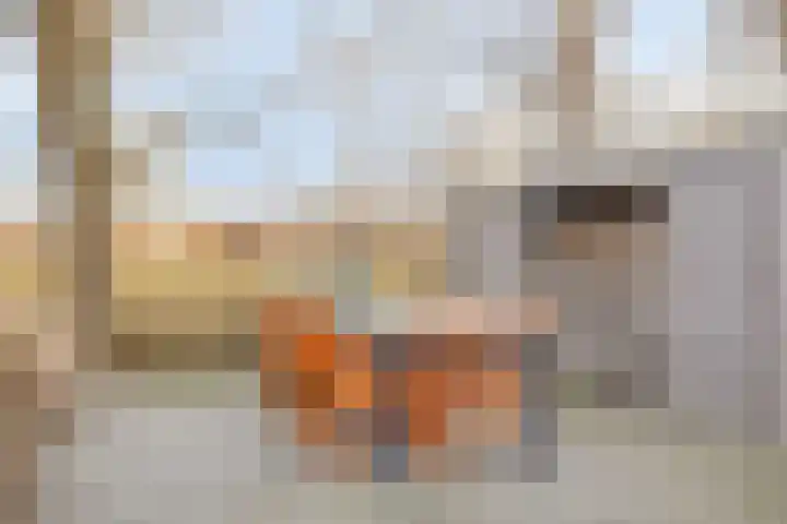 Harspit 6 Kootstertille thumbnail 33