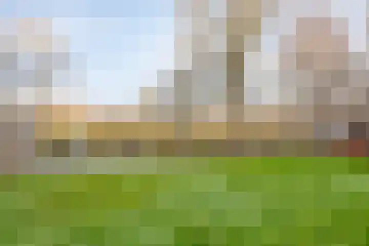 Harspit 6 Kootstertille thumbnail 34