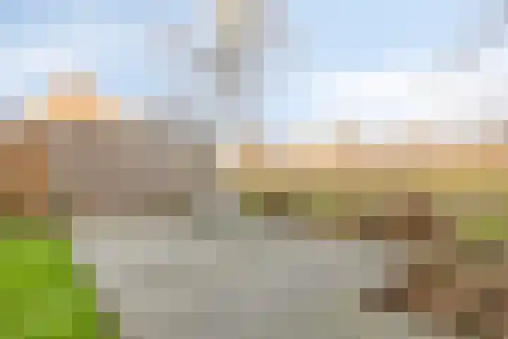 Harspit 6 Kootstertille thumbnail 36