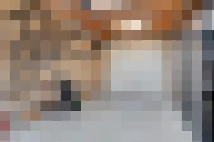 Harspit 6 Kootstertille thumbnail 42