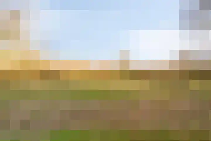 Harspit 6 Kootstertille thumbnail 43