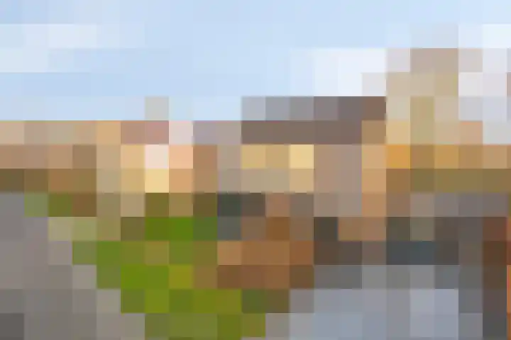 Harspit 6 Kootstertille thumbnail 6