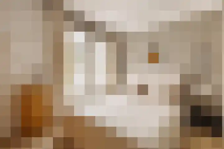 Hartenstraat 22 C Amsterdam thumbnail 10
