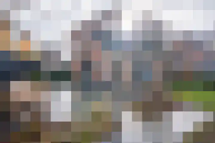 Hartenveld 28 Almere thumbnail 43