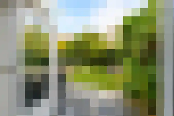 Hartenveld 43 Almere thumbnail 14
