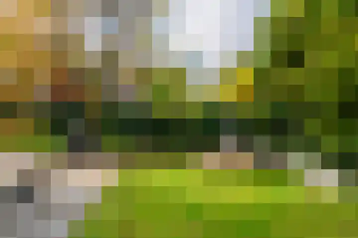 Hartenveld 43 Almere thumbnail 18