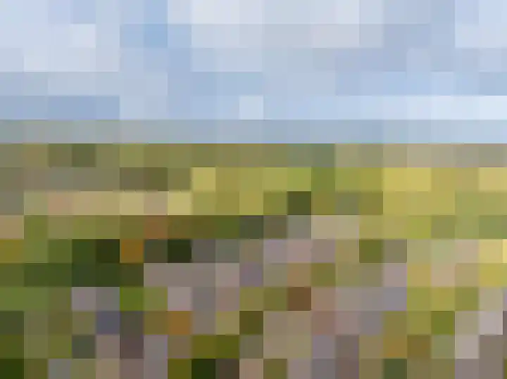 Hartenveld 43 Almere thumbnail 39