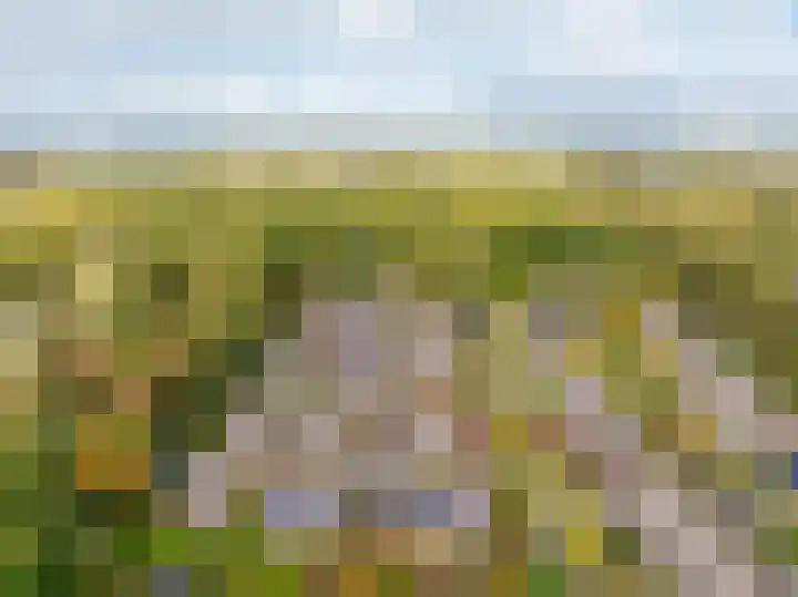 Hartenveld 43 Almere thumbnail 4