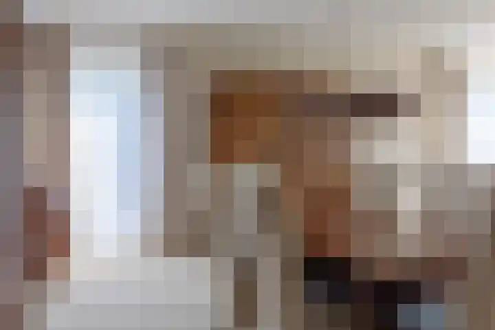Hartenvier 19 Best thumbnail 13