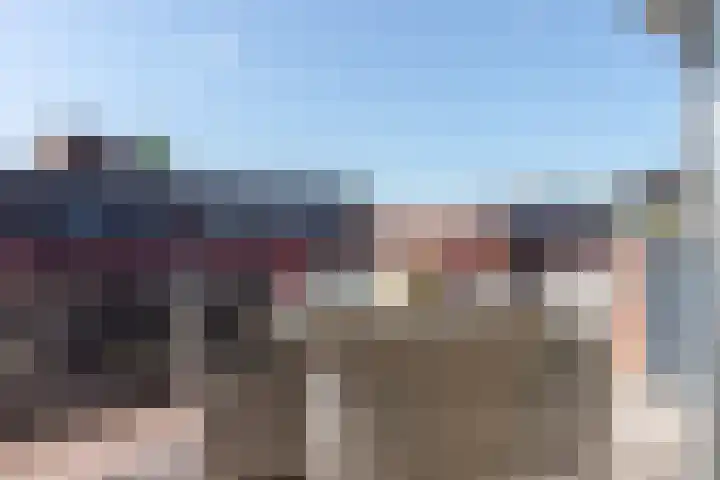 Hartenvier 19 Best thumbnail 18