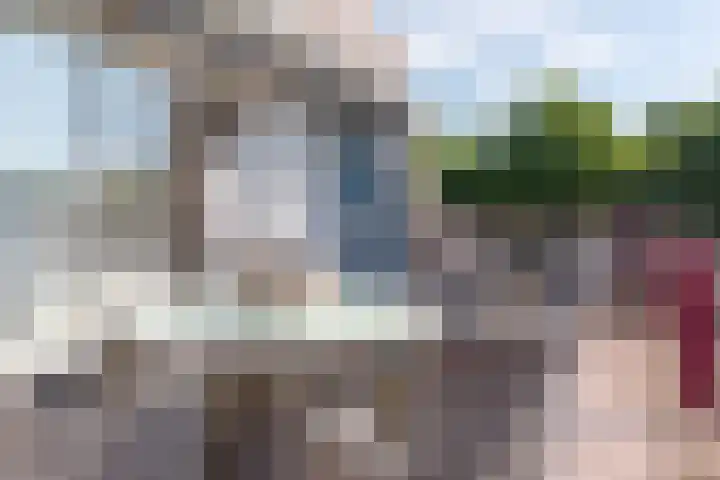 Hartenvier 19 Best thumbnail 19
