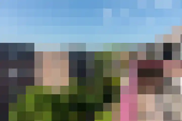 Hartenvier 19 Best thumbnail 20